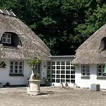 Skovlyset's *