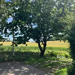 Skovlyset's