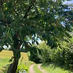 Bed & Breakfast Skovlyset's Juelsminde (Hedensted)