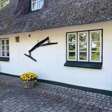 Skovlyset's Bed & Breakfast