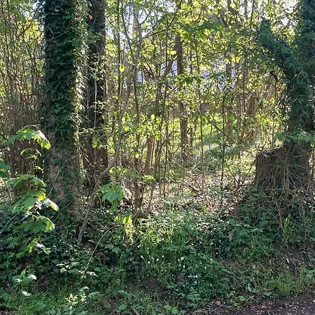 Skovlyset's Bed & Breakfast *