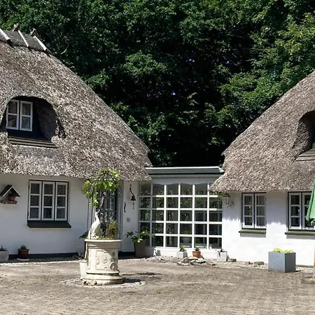 Skovlyset's *