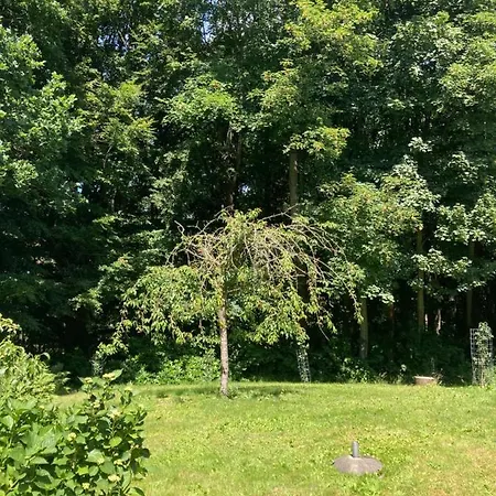 Skovlyset's Bed & Breakfast *