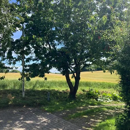 Skovlyset's