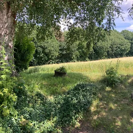 Skovlyset's Bed & Breakfast