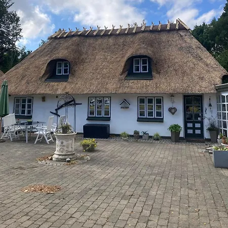 Bed & Breakfast Skovlyset's