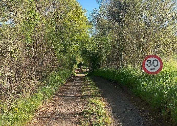 Skovlyset's